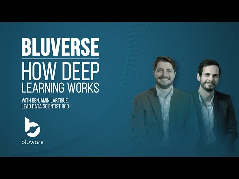 Bluverse: How Deep Learning Works