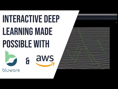 Webinar: Interactive Deep Learning on Seismic Made Possible with Bluware &amp; AWS